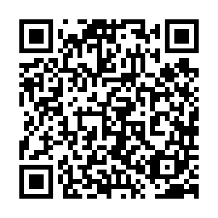 QR code for 6P8 641