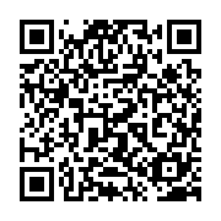 QR code for 6P9 375