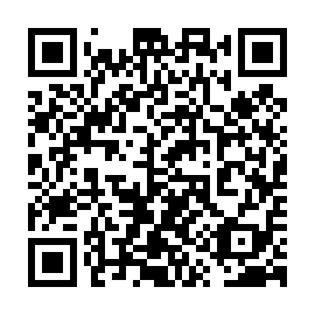 QR code for plate 6Q3 419