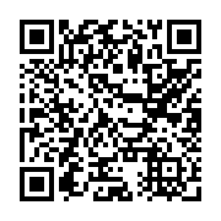 QR code for plate 6QS N30