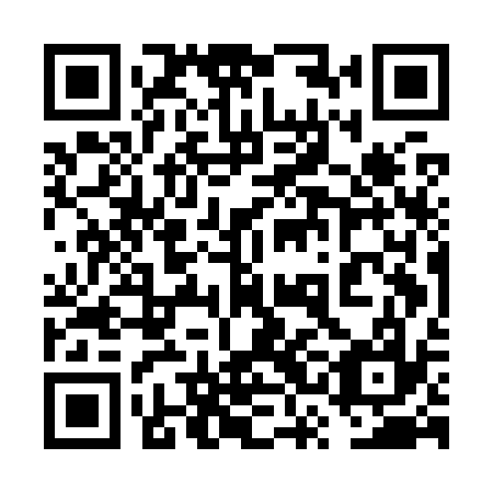 QR code for plate 6SE K37