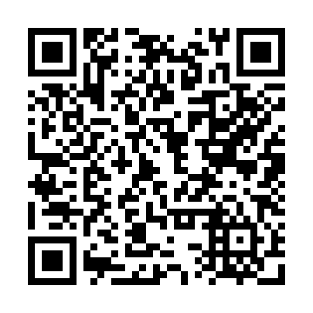 QR code for 6SS384