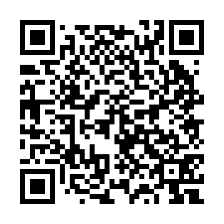 QR code for plate 6V0 271