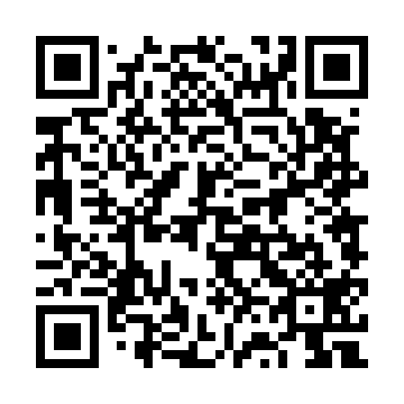 QR code for plate 6V4 519