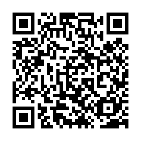 QR code for 6V6 425