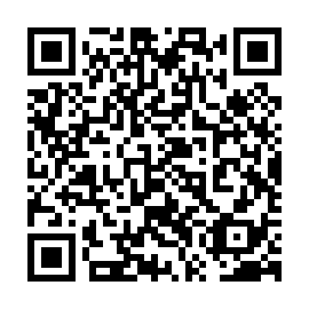 QR code for plate 6WB P38