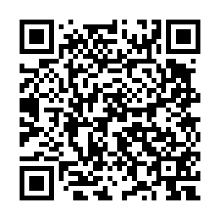 QR code for plate 6X3 451