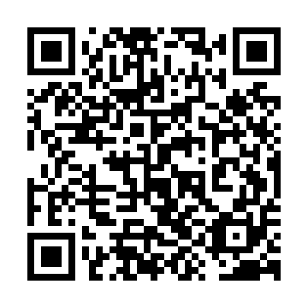QR code for plate 6YE N50