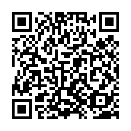QR code for plate 6ZF D38