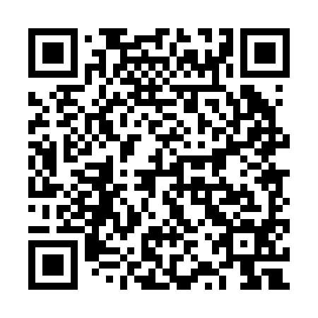 QR code for 6ZP294