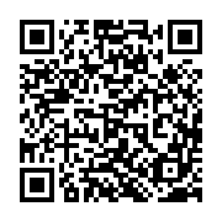 QR code for plate 7H0 852
