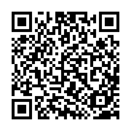 QR code for plate 7Q0 385