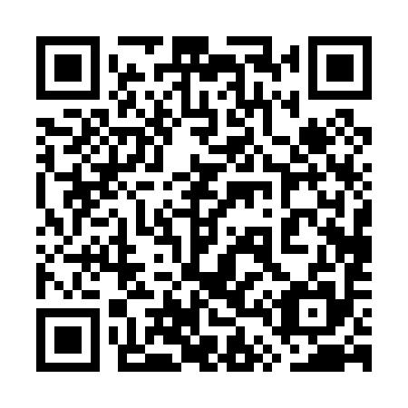 QR code for plate 7T0 095
