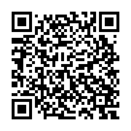 QR code for plate 7V3 343