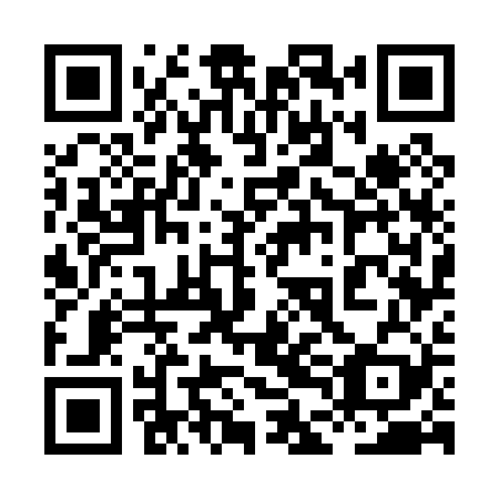 QR code for plate 8DG 029