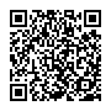QR code for plate 8GB 688