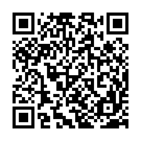 QR code for 8IQ Q96