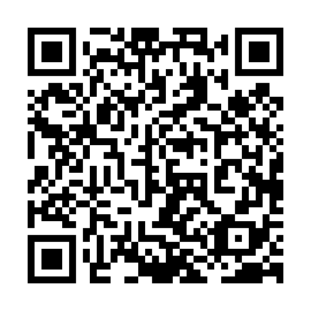 QR code for plate 8L0 478