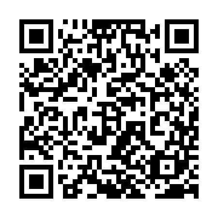 QR code for plate 8L1 041