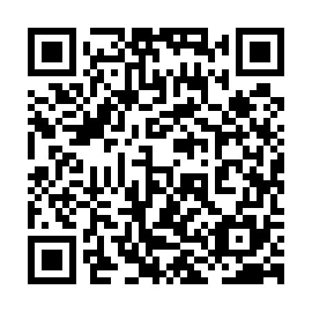 QR code for plate 8L9 575