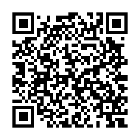 QR code for plate 8NT P17
