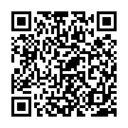 QR code for plate 8O5 513
