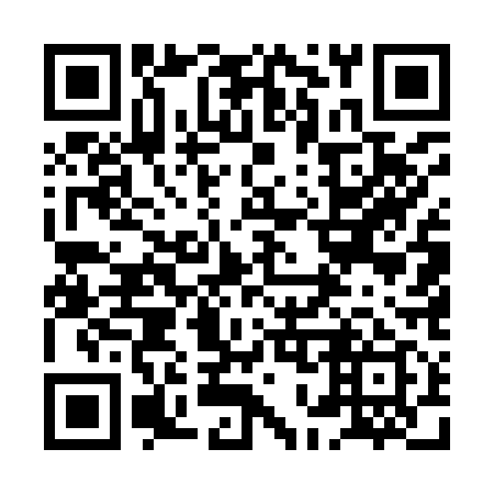 QR code for plate 8O5 919