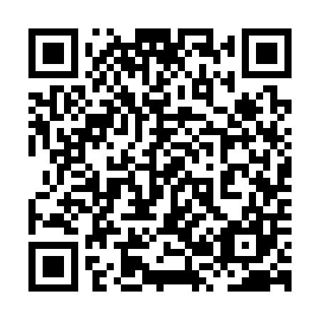QR code for plate 8R3 307