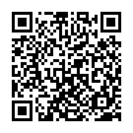 QR code for plate 8S5 294