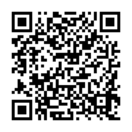 QR code for plate 8T8 598