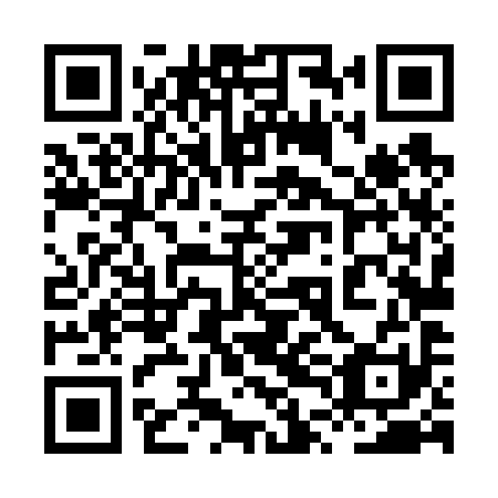 QR code for plate 8TL 691