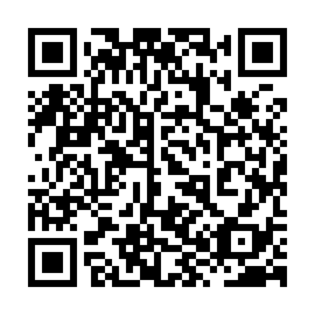 QR code for plate 8X9 938