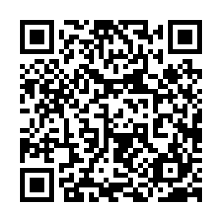 QR code for plate 9A0 224