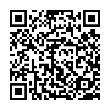 QR code for plate 9A4 699