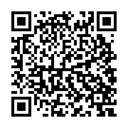 QR code for plate 9A6 307