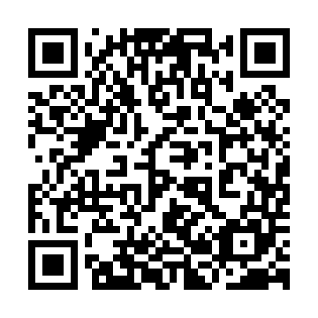 QR code for plate 9B1 045
