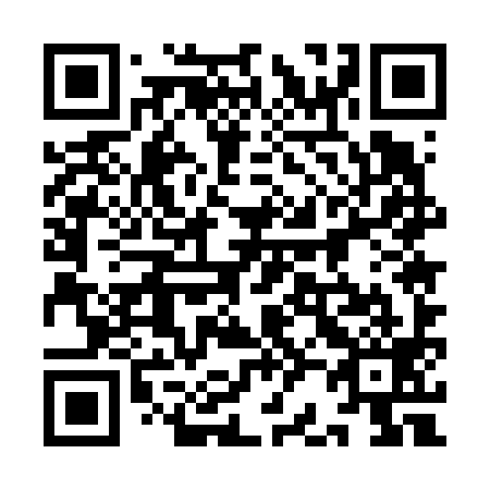 QR code for plate 9B5 699