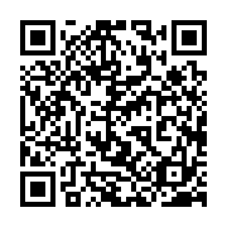 QR code for 9C0 333
