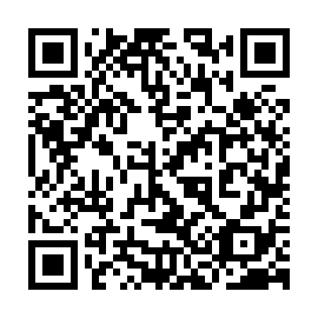 QR code for plate 9C6 878