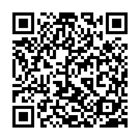 QR code for plate 9C9 869