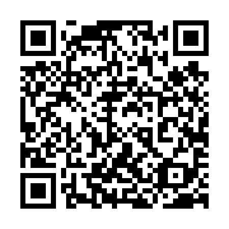 QR code for plate 9CT 699
