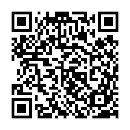 QR code for 9D9 667