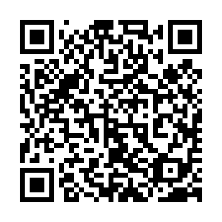 QR code for plate 9DB 419