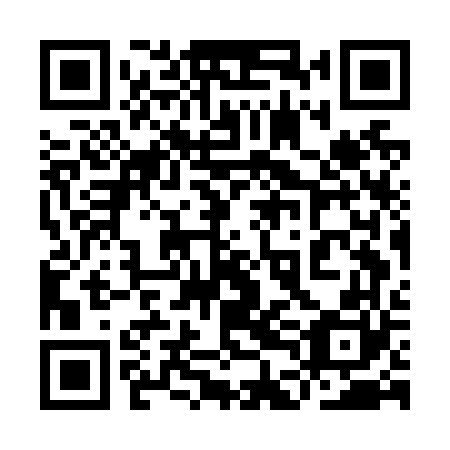QR code for 9DG N60
