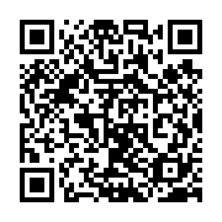 QR code for plate 9DG V70