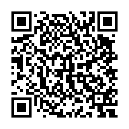 QR code for 9DJ 411