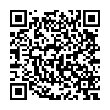 QR code for plate 9DK T69