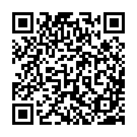 QR code for plate 9DP 183