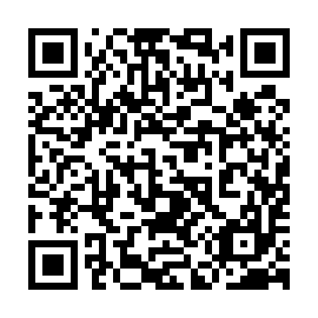 QR code for plate 9E1 597