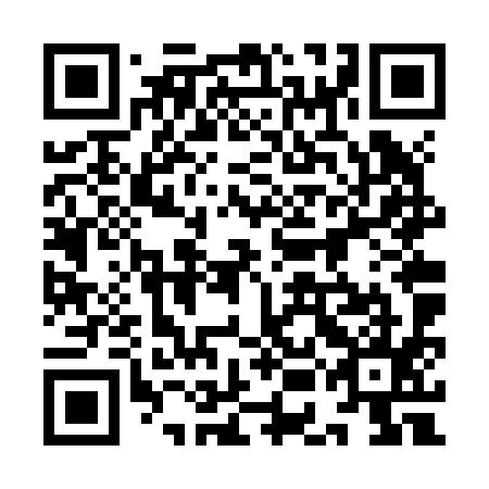 QR code for plate 9EF Z95